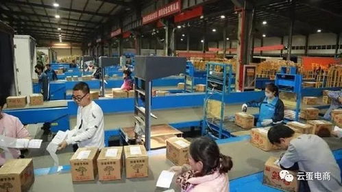 陜西電商迎來井噴式增長 2017雙11西安領跑西北電商扶貧